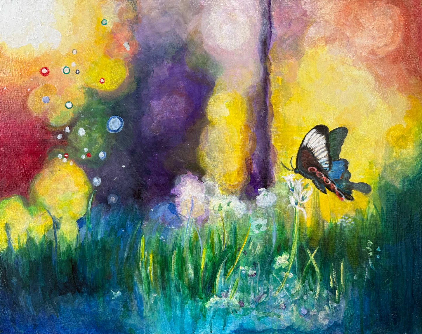 Colorful Butterfly World