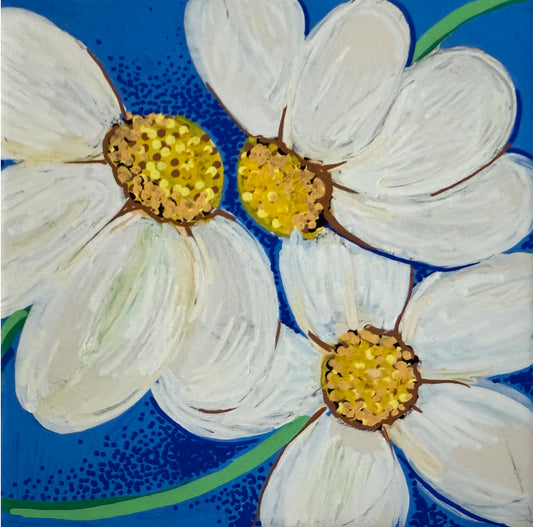 Daisies
