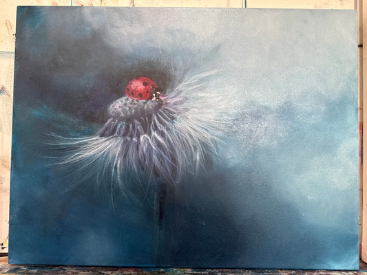 Dreamy Ladybug