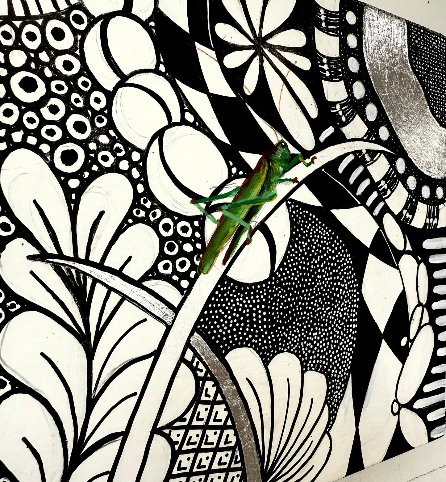 Cricket Muse